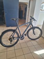 Mountainbike Ideal Pro Rider Rheinland-Pfalz - Medard Vorschau