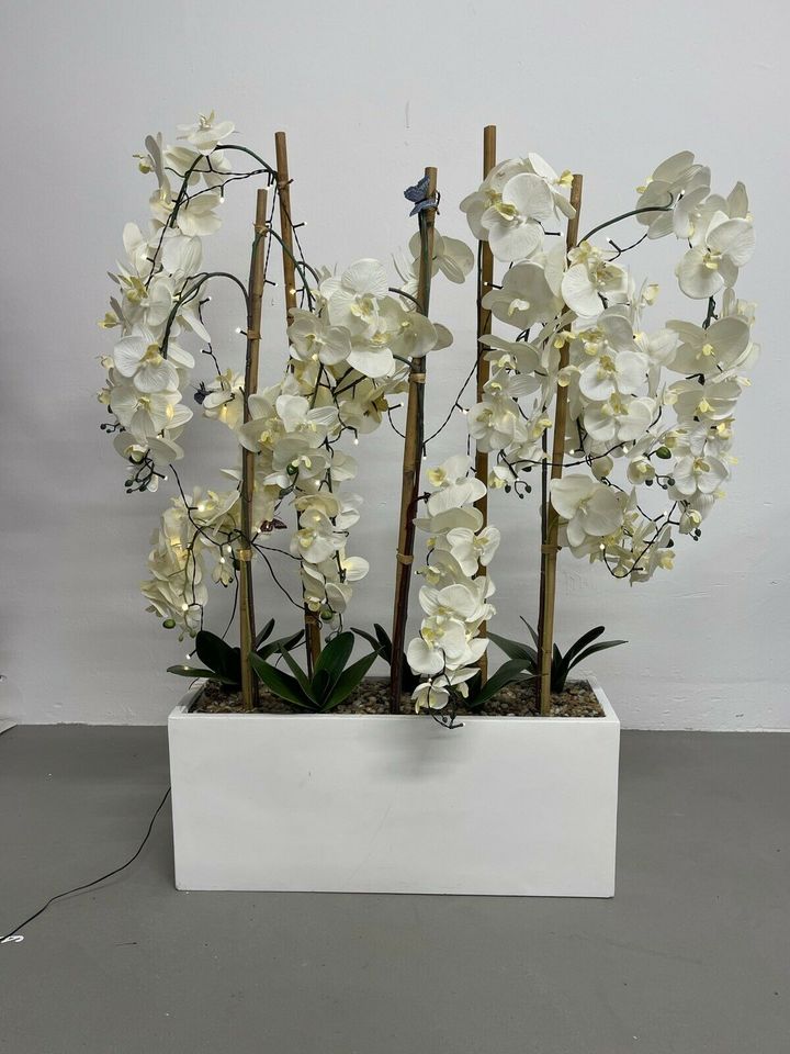 Deko Orchidee in weiß mit weißen Topf in Kiel