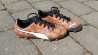 PUMA Fußballschuhe Kinder 29 Orange Niedersachsen - Hilter am Teutoburger Wald Vorschau