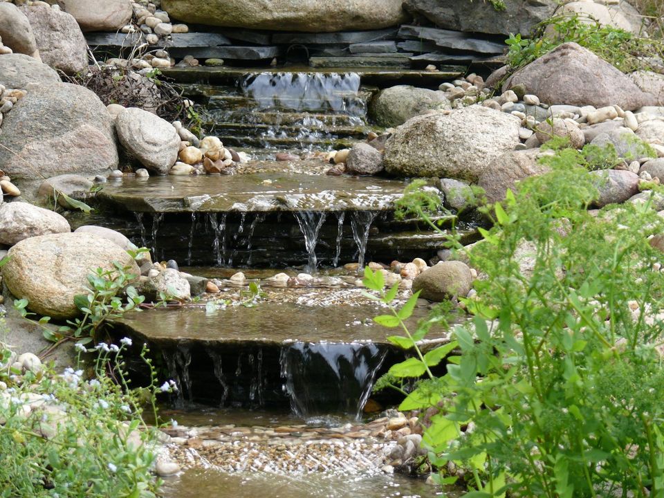 Teiche, Schwimmteiche Gartenteich, Teichbau, Teich in Dahlenburg