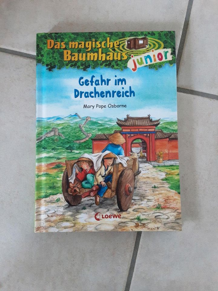 Bücher Magisches Baumhaus junior in Beelen