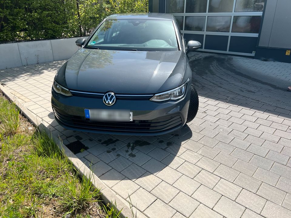 Volkswagen Golf VIII Life 1,5 TSI in Aichach