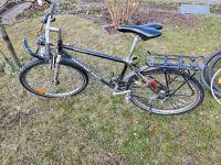 26 Zoll Fahrrad mit Stahlrahmen 21-Gang-Schaltung, Spike-Reifen Dresden - Pieschen Vorschau