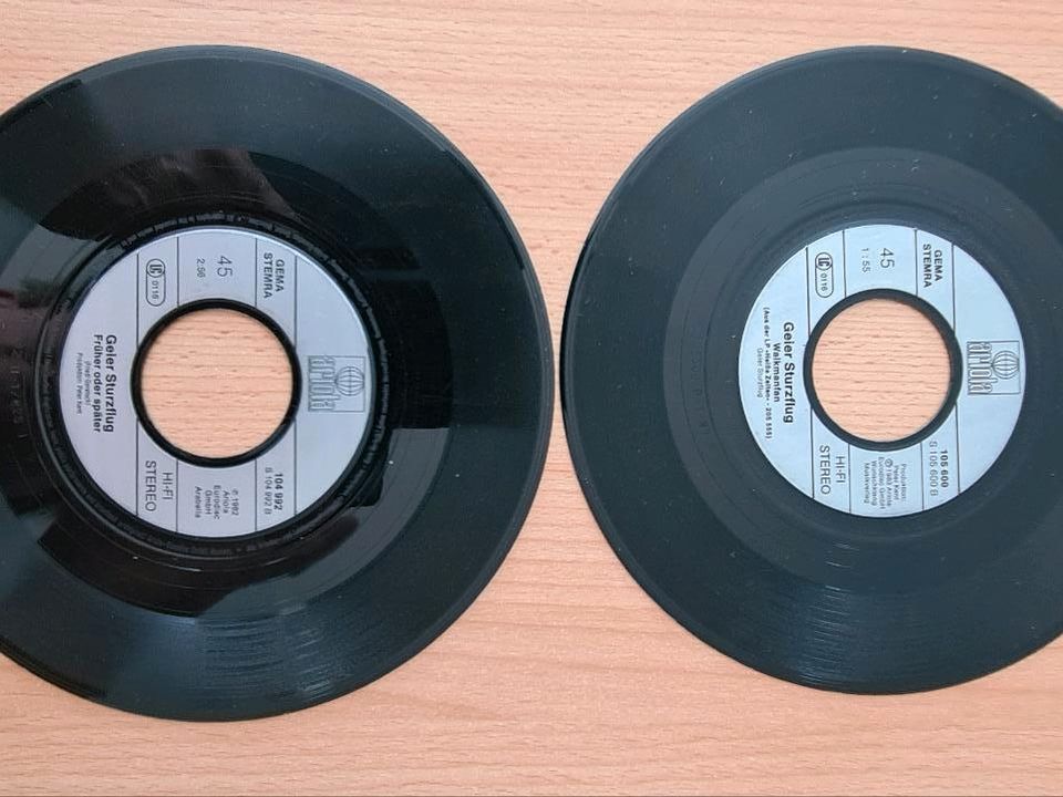 Schallplatten von Geier Sturzflug von  1982 /1983 in Zandt