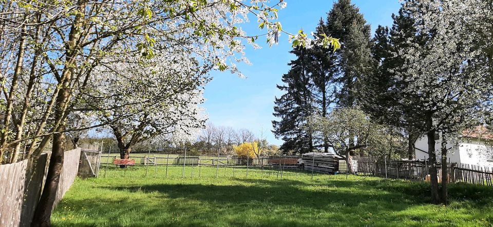 Gartengrundstück/ Freizeitgrundstück in Sachsen Plauen Grundstück