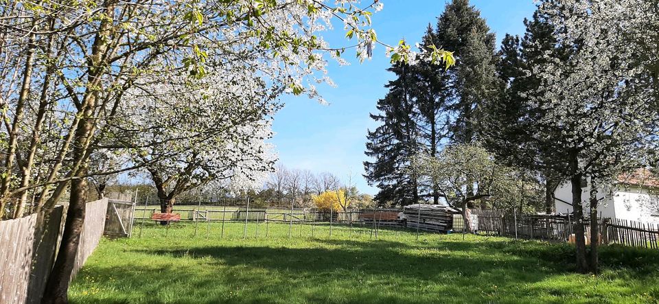 Gartengrundstück/ Freizeitgrundstück in Plauen