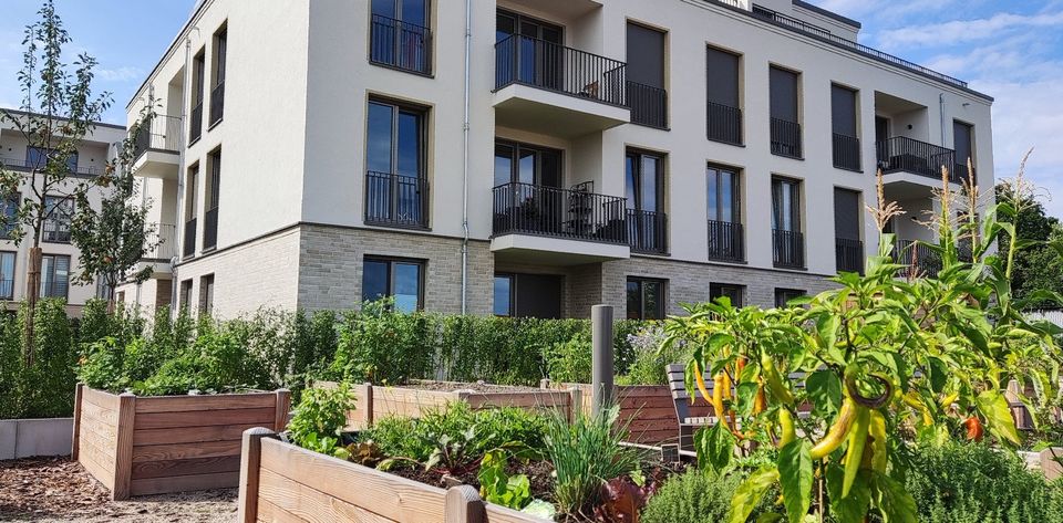 2 Zimmer mit Garten & südlicher Terrasse als Erstbezug im Neubau in Berlin