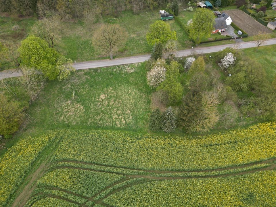 Gartenland / Grünfläche / Weideland in Stuer