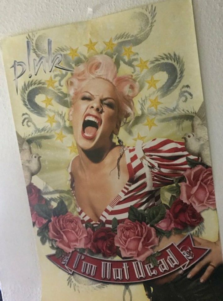 P!nk Konzert Plakate in Nieste