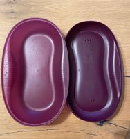 Micromeister Omlettemaker 2-4 Eier Tupperware Nordrhein-Westfalen - Emsdetten Vorschau