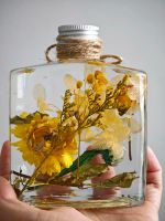 Handgemachtes japanisches Heribarium Glas Herbarien in Flaschen Pankow - Prenzlauer Berg Vorschau