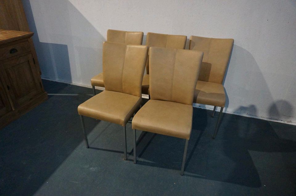 Sit Stuhl # 5er Set # Büffel Echtleder # beige # Massiv-Möbel in Alsfeld