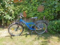 blaues 20" Fahrrad von Bocas Baden-Württemberg - Walzbachtal Vorschau