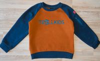 Trollkids Pullover Sweatshirt Sandefjord 122 128 Sachsen-Anhalt - Seegebiet Mansfelder Land Vorschau