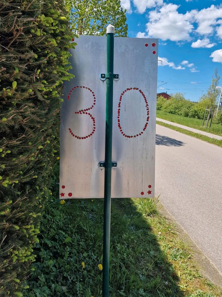 30er Zone Schild sehr robust, wetterbeständig in Tannheim