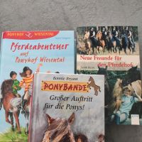 Pferdebücher/Jugendbücher 3 Stück zusammen Nordrhein-Westfalen - Emsdetten Vorschau