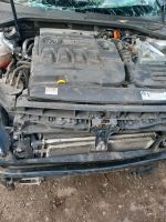 Motor für VW Golf VII Niedersachsen - Rotenburg (Wümme) Vorschau