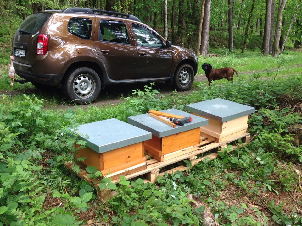 Imkereiaufgabe 4x Bienenvölker auf  US Dadant in Pegnitz