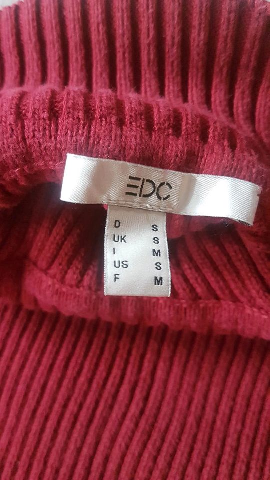 Esprit Pullover Rollkragen organic Cotton Rippstrick Turtleneck in Hirschaid