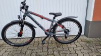 neues MTB Checker Pig Pig Racer 26" 24-Gang Kettenschaltung Schleswig-Holstein - Neumünster Vorschau