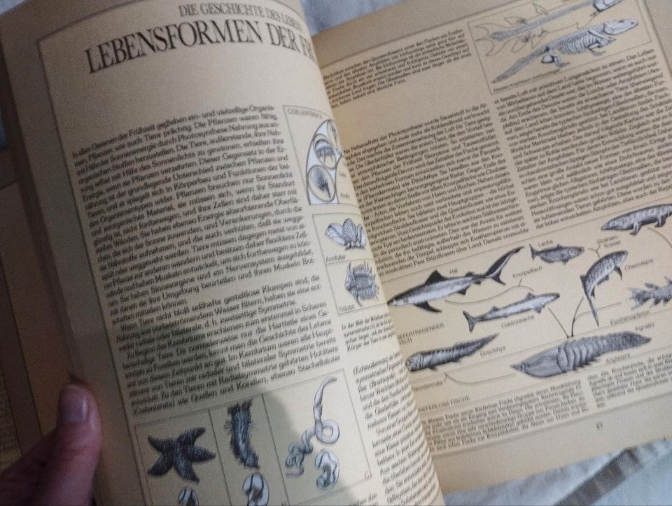 Die Welt nach uns,eine Zoologie der Zukunft aus 1981, Rarität in Weißenburg in Bayern