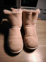 Ugg Boots rosa 39 Nordrhein-Westfalen - Swisttal Vorschau