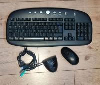 Logitech Cordless Internet Pro Tastatur & Maus Funk Schleswig-Holstein - Tramm Vorschau