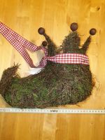 Elfenschuh Weide, Weihnachten Harlekinschuh Niedersachsen - Harsefeld Vorschau