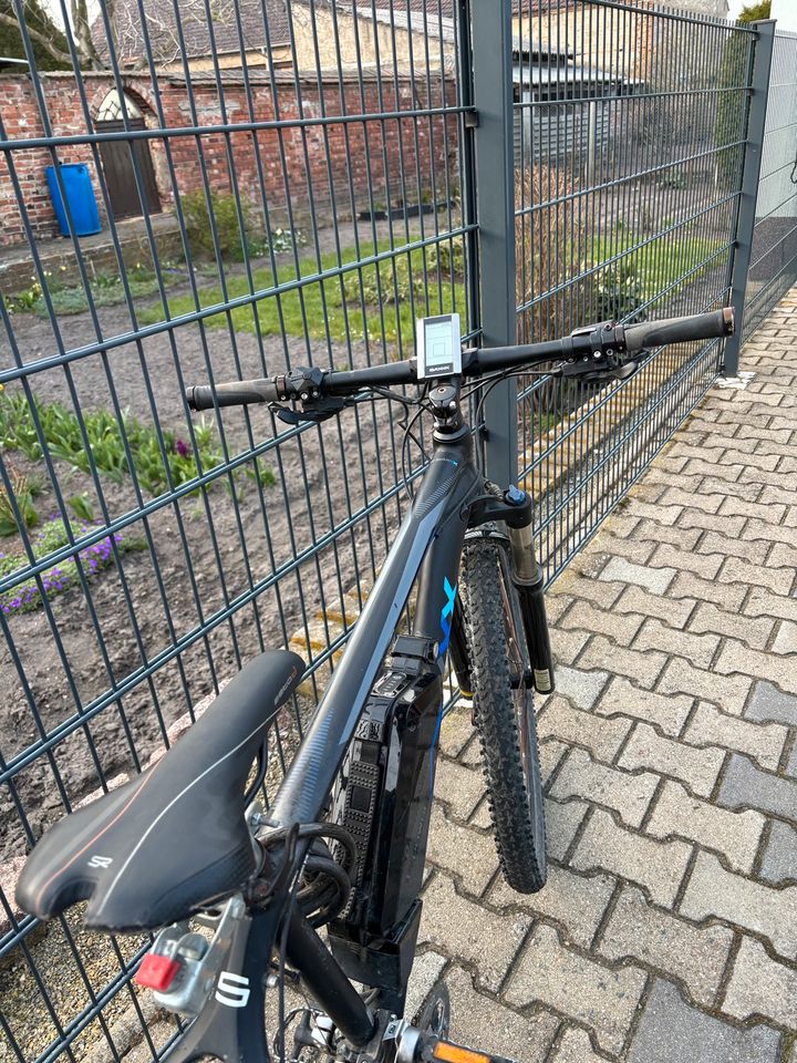 E Bike der Marke saxxx in Herzberg/Elster