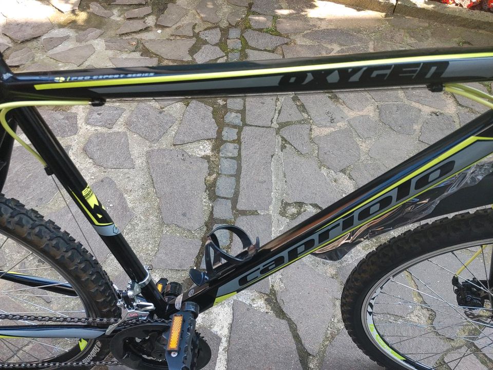 26 Zoll jungen Fahrrad (Capriolo. ) in Uetersen