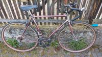 DDR Rennrad zu verkaufen Sachsen - Wechselburg Vorschau