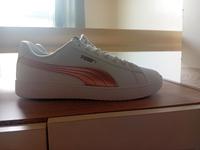 Puma Schuhe  neu gekauft Nordrhein-Westfalen - Willebadessen Vorschau