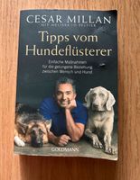 Tipps vom Hundeflüsterer Hannover - Nord Vorschau