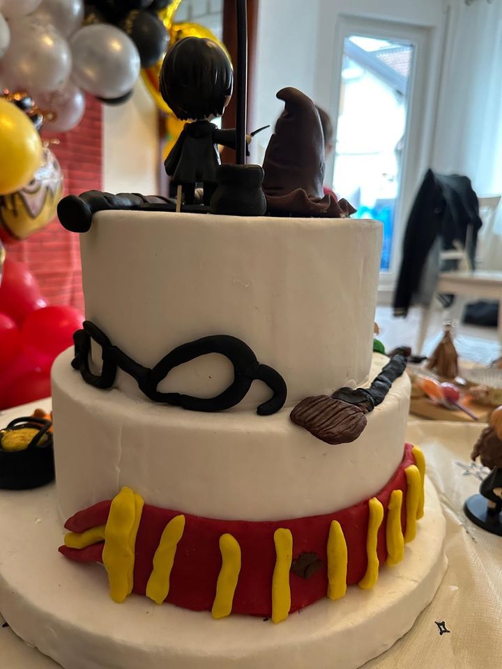 Modell Torte Harry Potter - keine echte Torte! in Magstadt