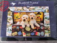 1000 Teile Puzzle Bluebird Puzzle NEU Nordrhein-Westfalen - Erftstadt Vorschau