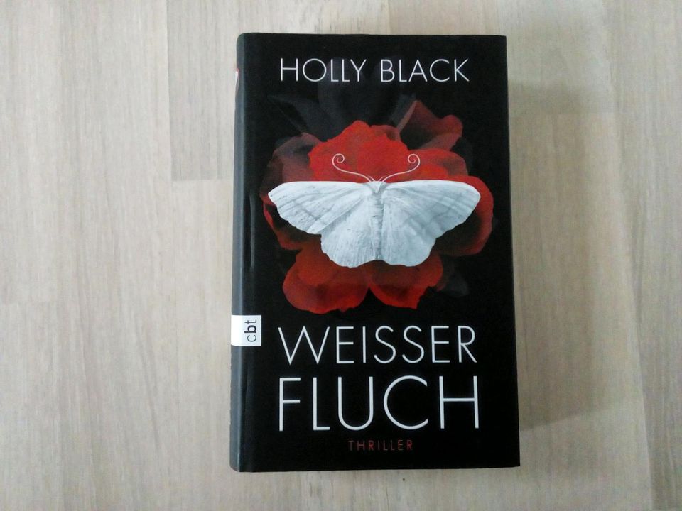 Weisser Fluch von Holly Black (Hardcover) in Lenzkirch