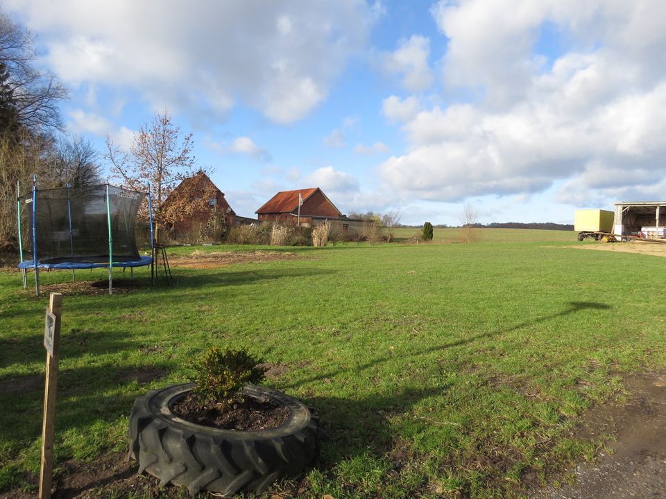 Grundstück in zweiter Reihe fußläufig zum Stendorfer See und in Feldrandlage in Kasseedorf