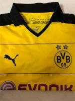 Triko BVB Poloshirt, fast Neu, Größe 164 Nordrhein-Westfalen - Löhne Vorschau