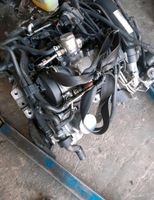 MOTOR 1.2TSI  CBZ CBZA CNZC CBZD Nordrhein-Westfalen - Schloß Holte-Stukenbrock Vorschau