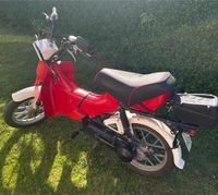 Honda Mofa, 49 ccm, Schleswig-Holstein - Stolk Vorschau