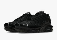 Nike Air Max TN plus 44 Wiesbaden - Mainz-Kostheim Vorschau