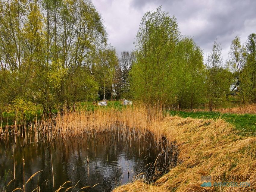 Dr. Lehner Immobilien NB- Erholungsinsel mit Gartenhaus und großem Grundstück in Loitz (Bei Demmin)