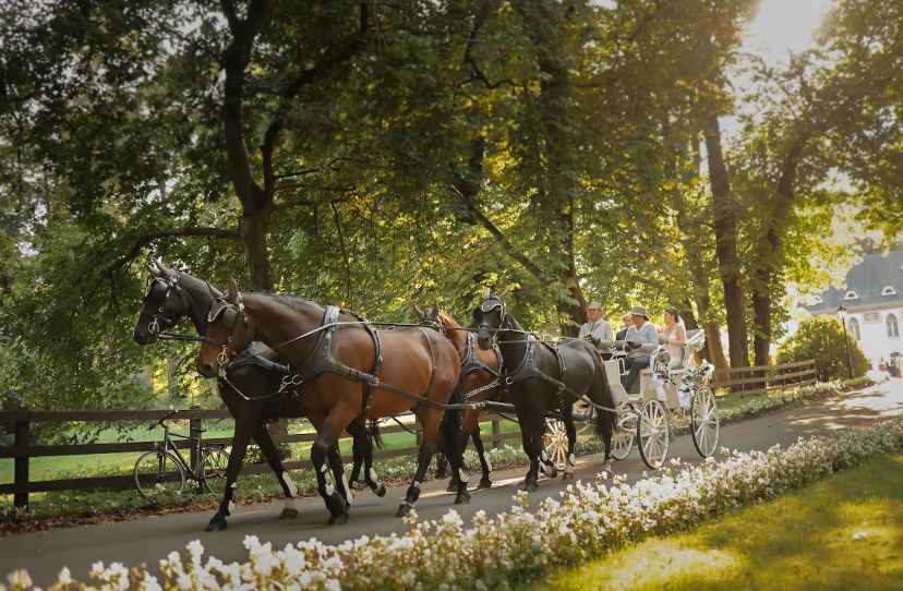 Hochzeitskutsche mieten in Horst (Holstein)