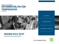 Mitarbeiter/in für Tierpension gesucht (m/w/d) Berlin - Spandau Vorschau