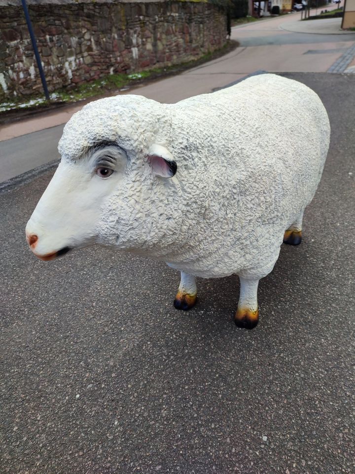 Schaf lebendsgroß 110m x 65cm hoch Neu Sonderposten incl. Versand in Wimmelburg