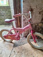 Kinderfahrrad,Barbierad 18 Zoll Leipzig - Sellerhausen-Stünz Vorschau