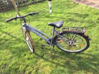 Svelta Techno Bike 28 Zoll Niedersachsen - Delmenhorst Vorschau