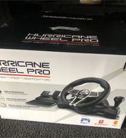 Hurricane Wheel Pro für PlayStation 4, Nintendo Switch & PC Hessen - Sulzbach Vorschau