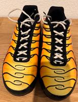 Nike Air Max Plus TN Tiger Sonnenuntergang orange OG Hessen - Gernsheim  Vorschau