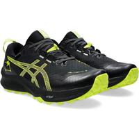 asics Gel-Trabuco 12 GTX Trailrunning Schuhe (48) Megamarsch München - Laim Vorschau
